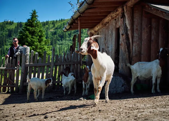 Gehwolfalm * גרוסארל